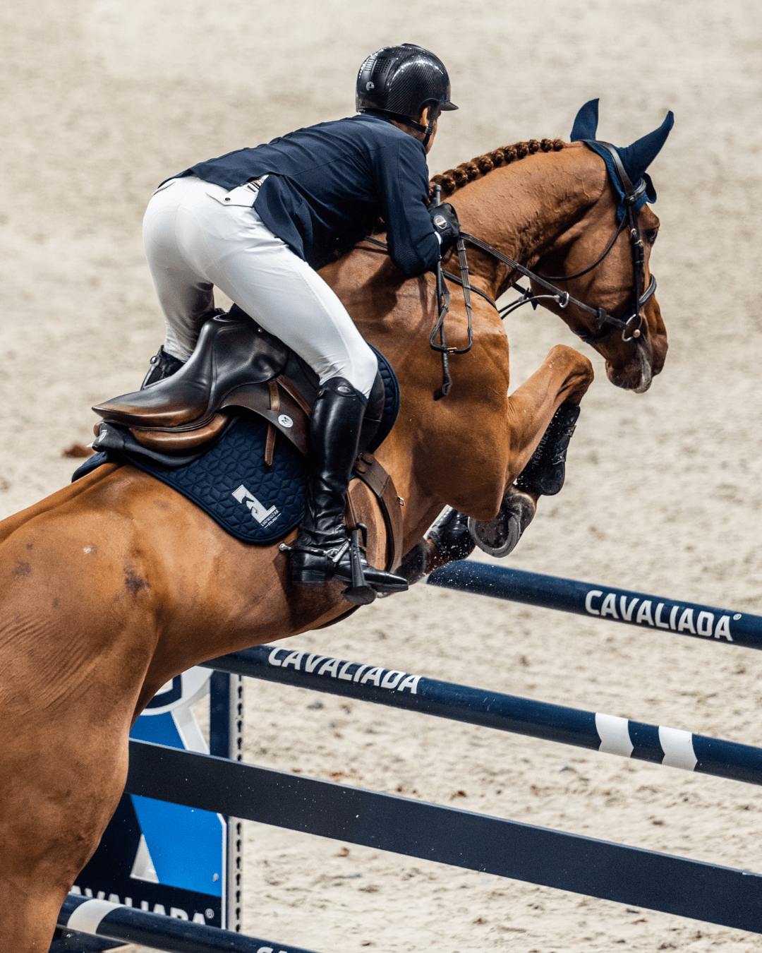 Equestrian Marketing w jeździectwie marketing w branży jeździeckiej social media media społecznościowe jeździectwo konie